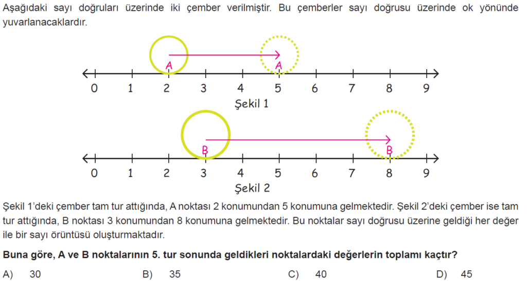 7.Sınıf Cebir Denklem Online Sınav-1