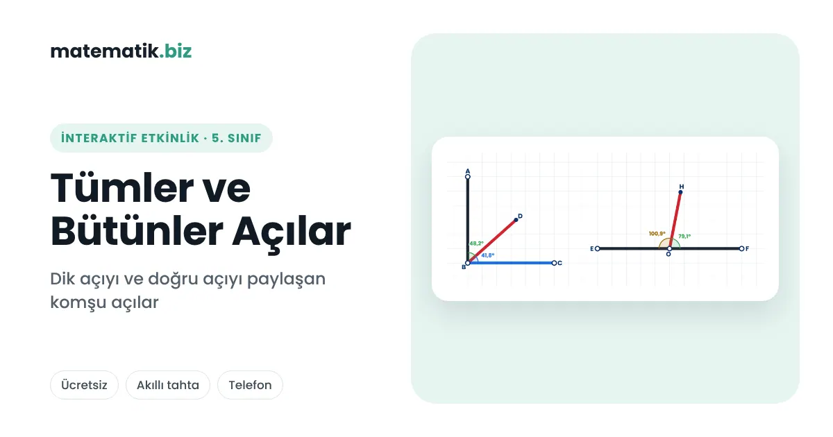 İnteraktif Matematik Etkinlikleri