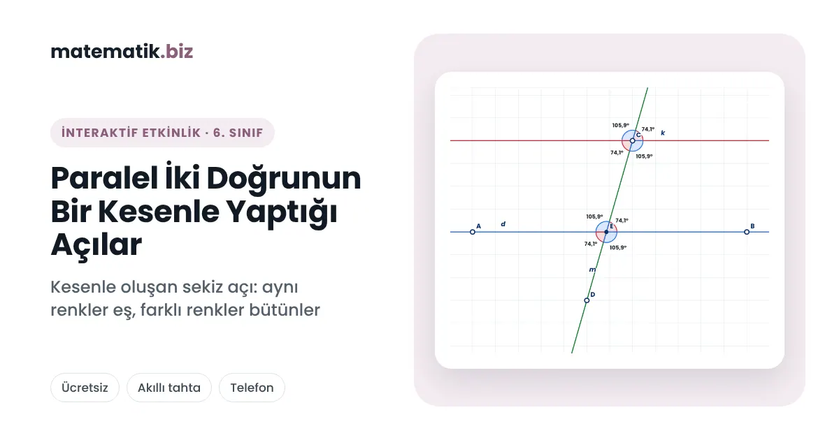İnteraktif Matematik Etkinlikleri