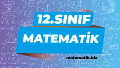 12.Sınıf Matematik