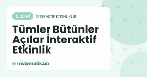 Tümler Bütünler Açılar İnteraktif Etkinlik