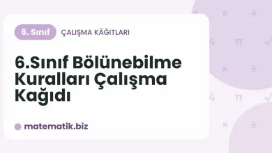 6.Sınıf Bölünebilme Kuralları Çalışma Kağıdı