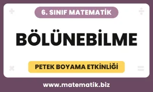 6.Sınıf Bölünebilme Petek Boyama Etkinliği