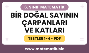 6. Sınıf Bir Doğal Sayının Çarpanları ve Katları Test PDF