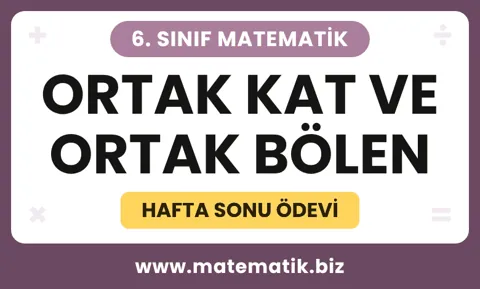 matematik.biz